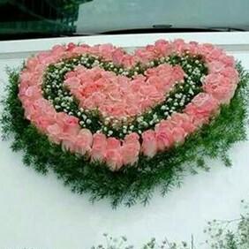 木森林鲜花