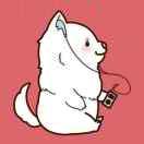 上帝不会掷骰子