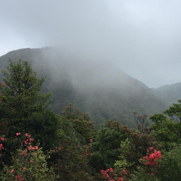 南昆山23号美食
