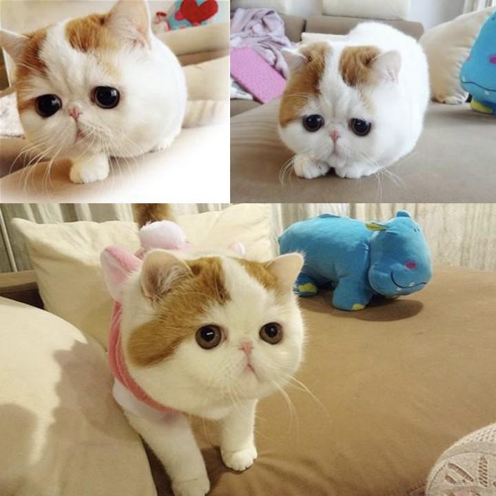 姜丽丽