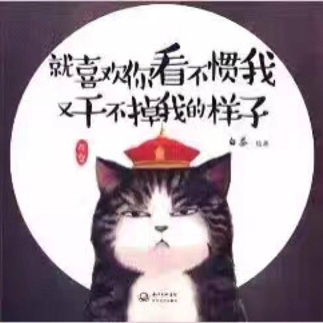 小岚宠物