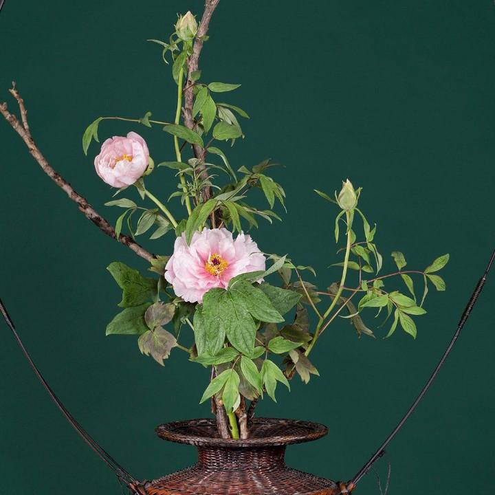 没心没肺活着不累