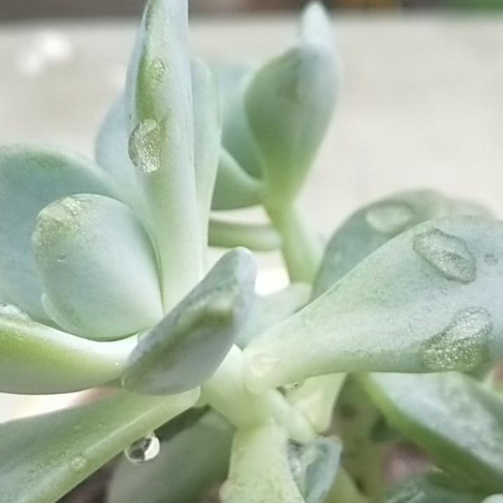 姐妹足疗欢迎你