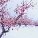 读来读去升学规划赵老师