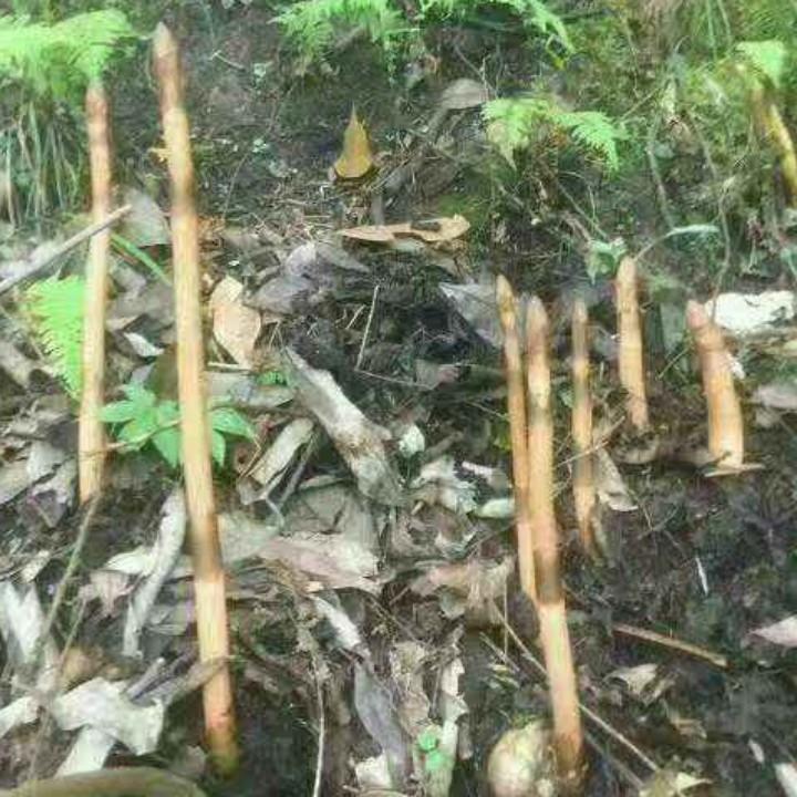 倾听