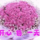 琴