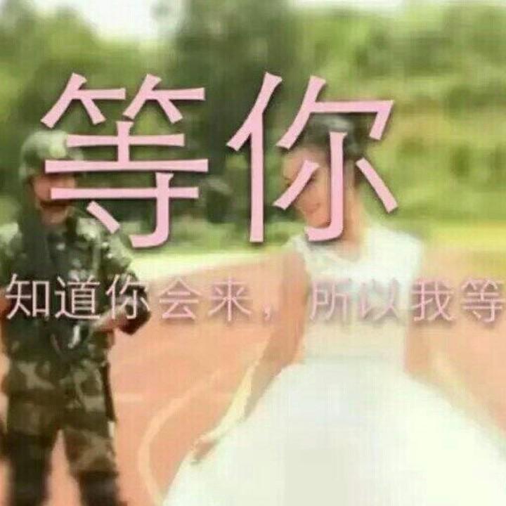 @西北苍鹰，可见一切@