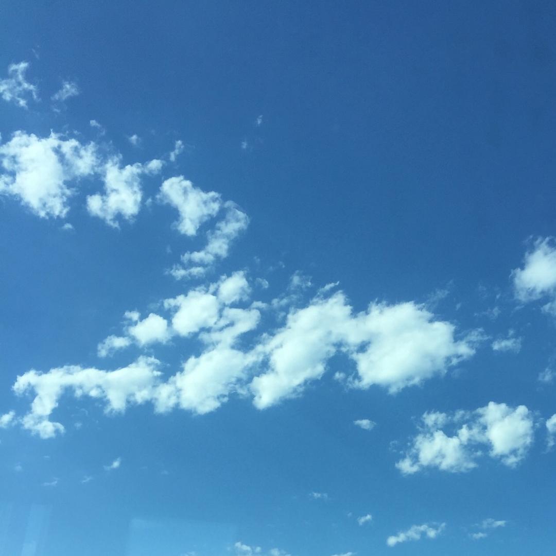 琳_256716117