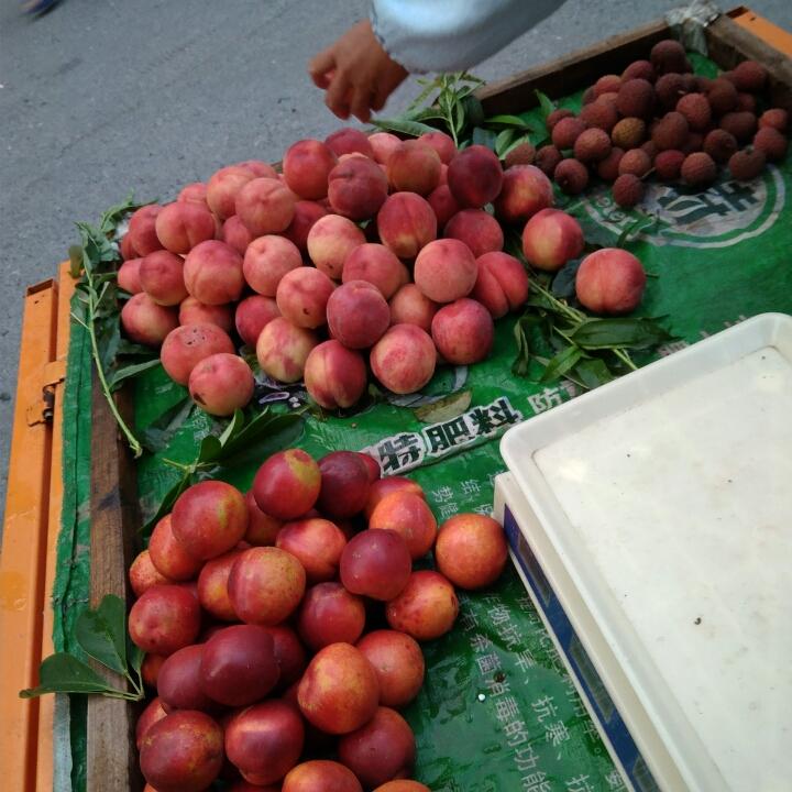 在桂林卖水果的大姐