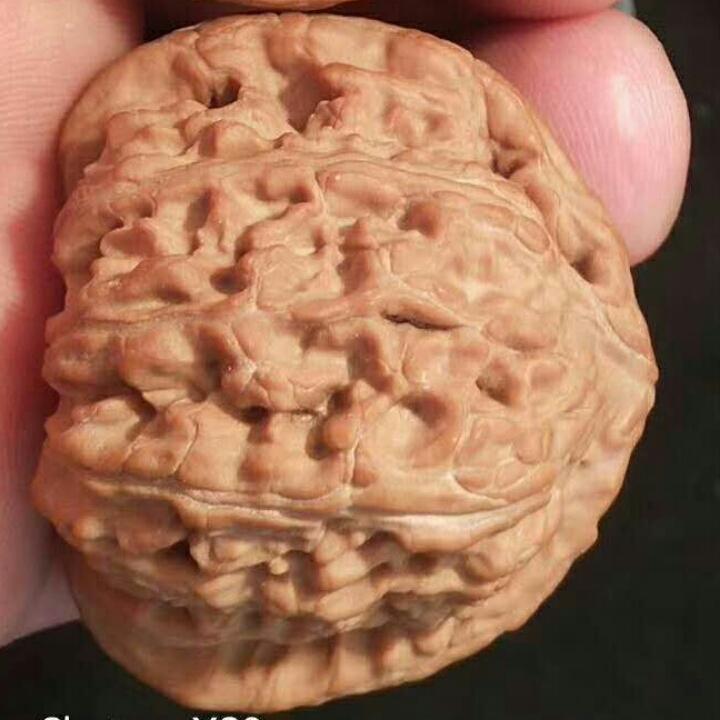 从头再来