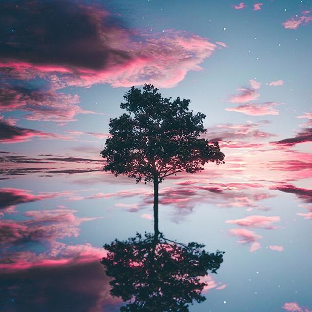 夕阳红
