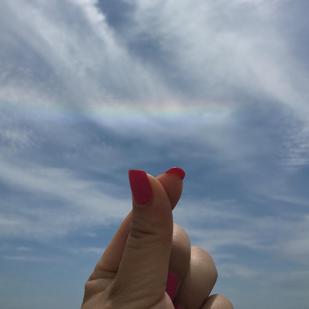 岸芷汀兰🌈