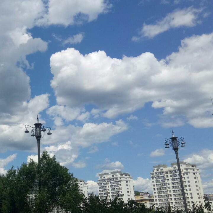 路途哥.大龙