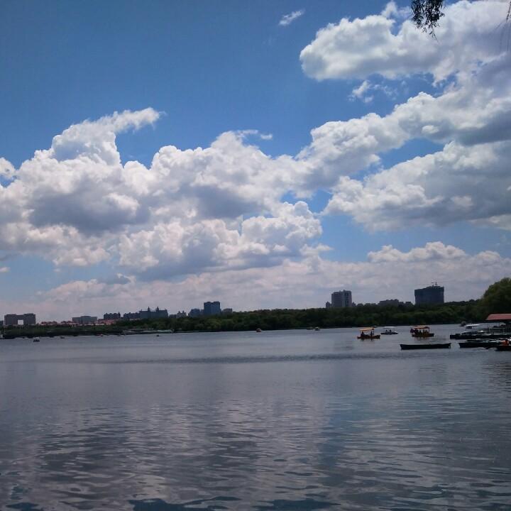 流浪的小鸟