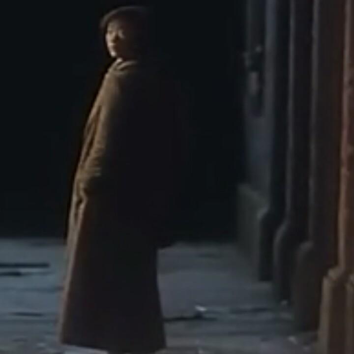 陕西铜元糕手