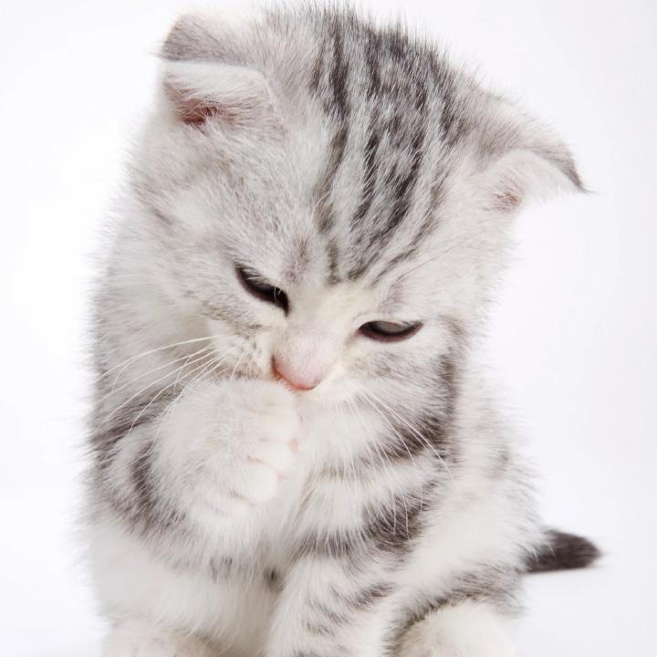 🌈🌈陪你慢慢变年轻