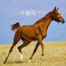 少珩