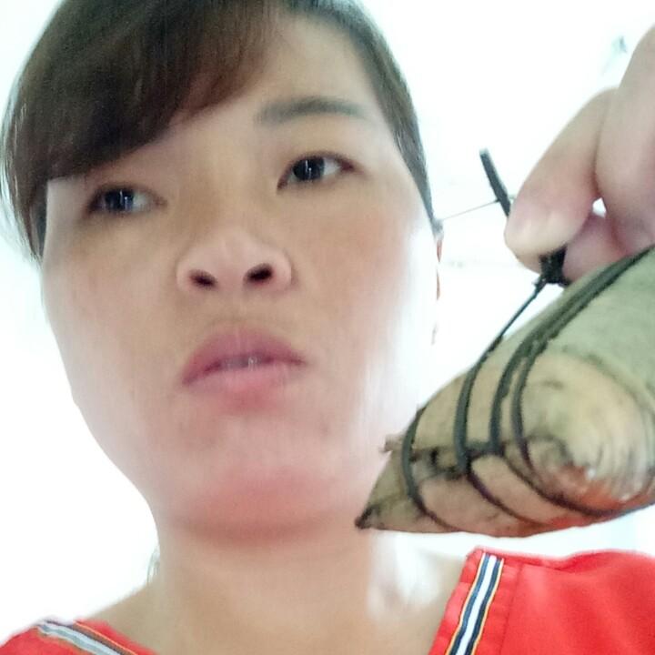 罗红燕