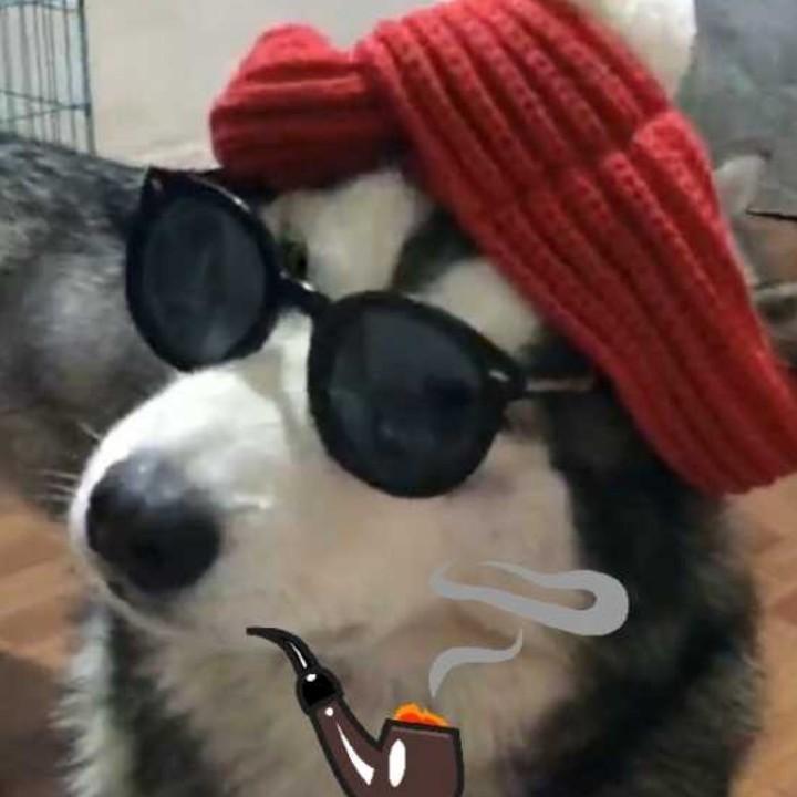 霹雳啪啦啪