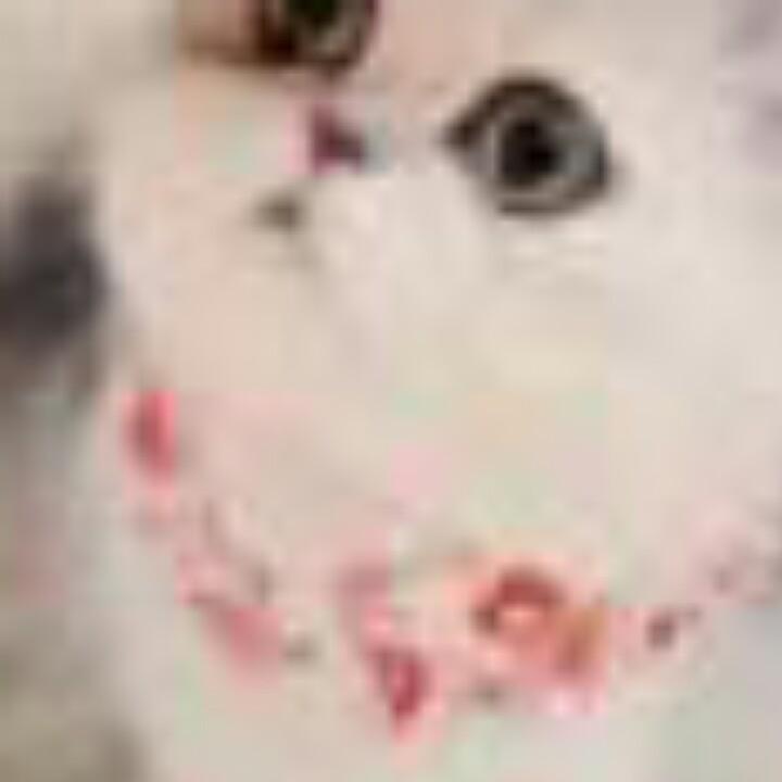 用户7658438354330
