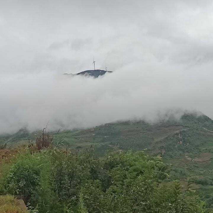 孙大哥