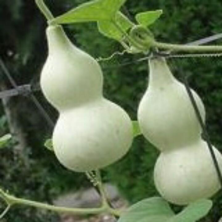 岁月轮回