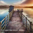 小金海
