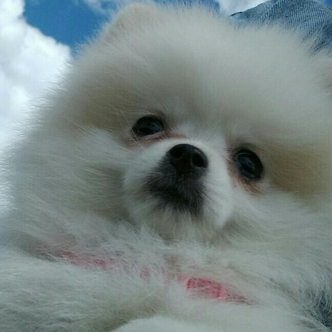 小鱼儿🐳🐠🐠🐟