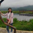 金鱼与木鱼