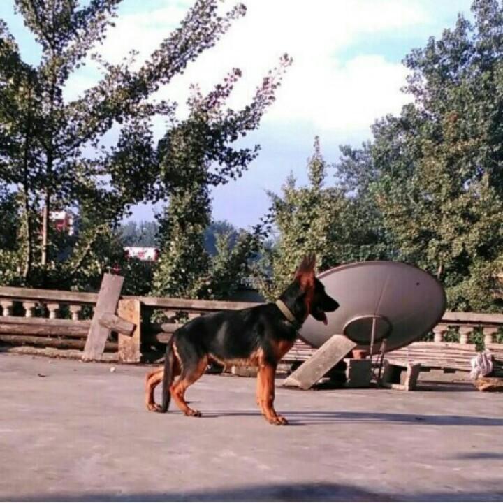用户6380124662012