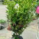 换位思考🇨🇳