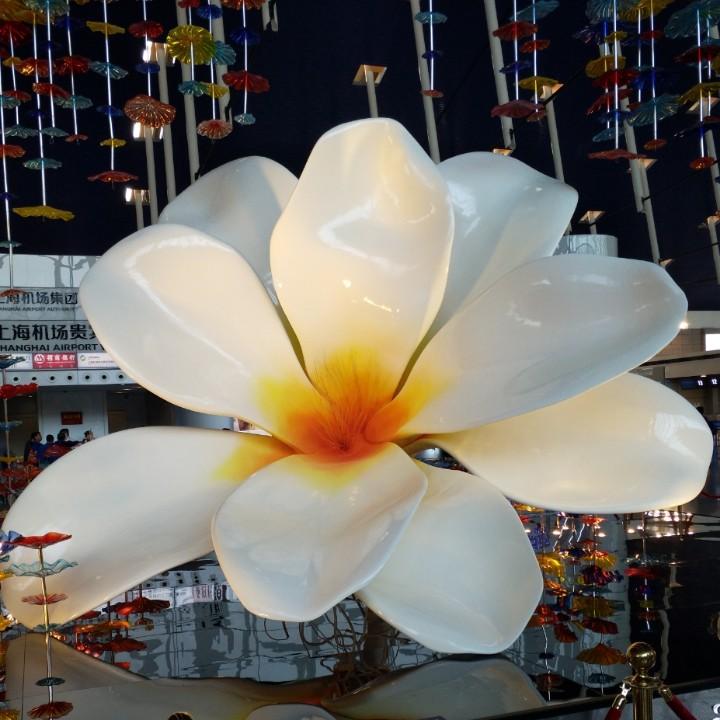牡丹花仙王