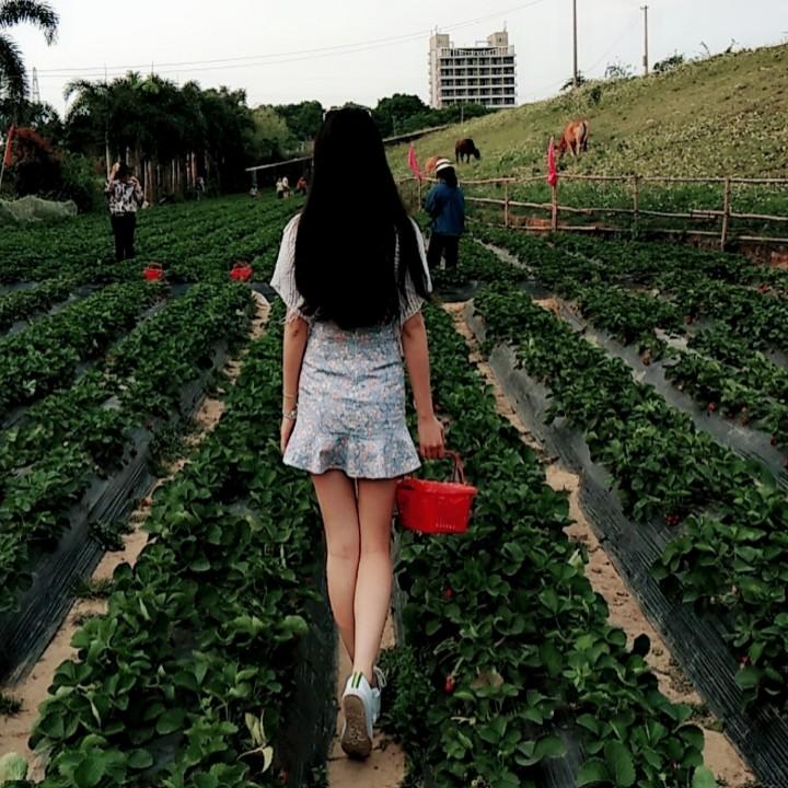 奶茶我喝一口