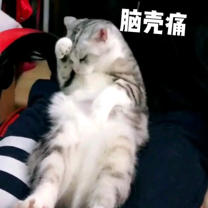 一切为了小钱钱