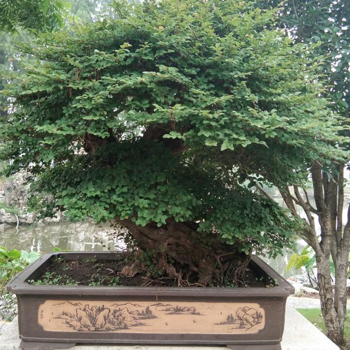 轻舟已过万重山