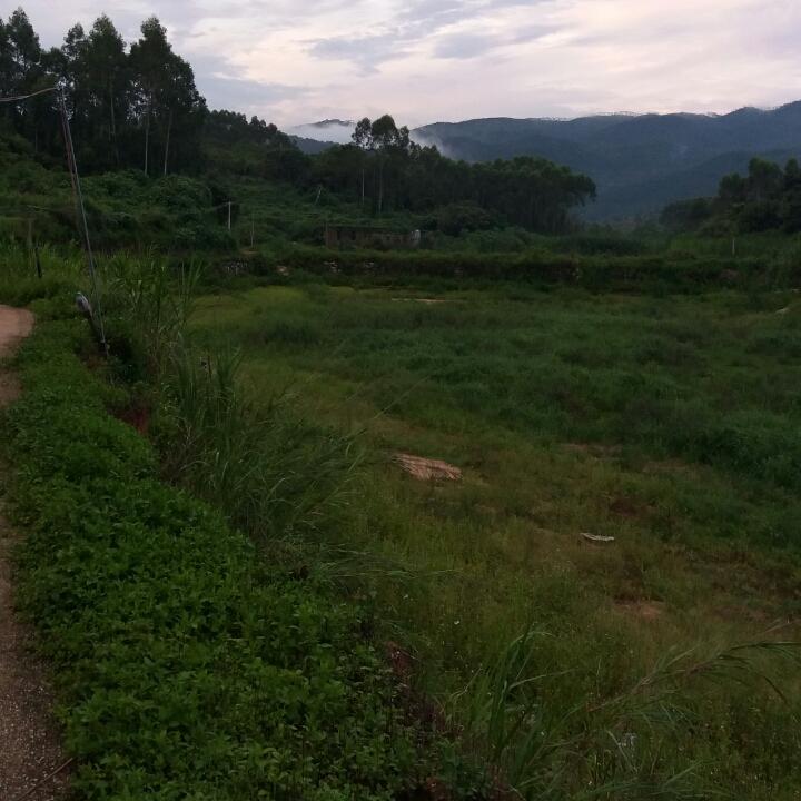 哥只是传说