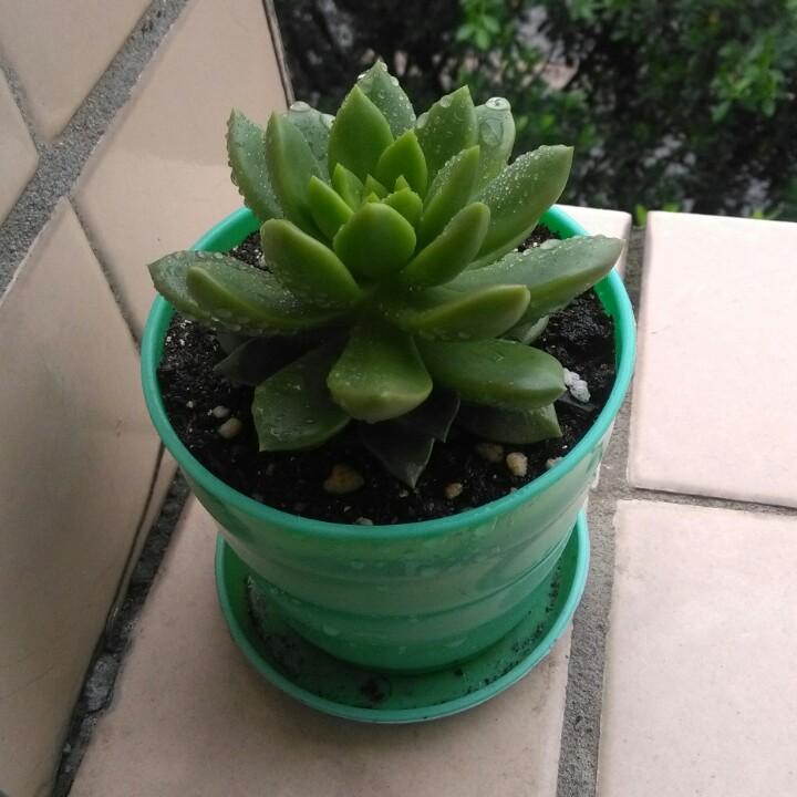 ✨缘来缘去💫