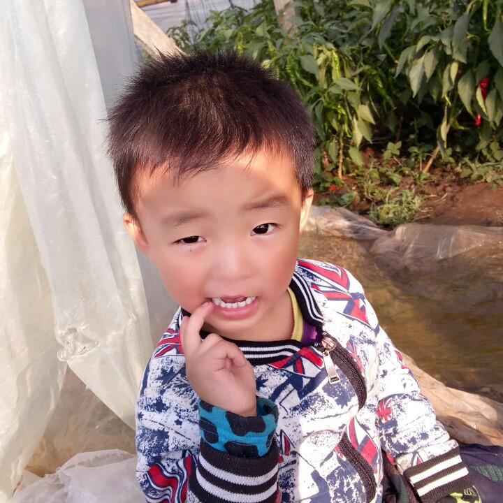 冬
