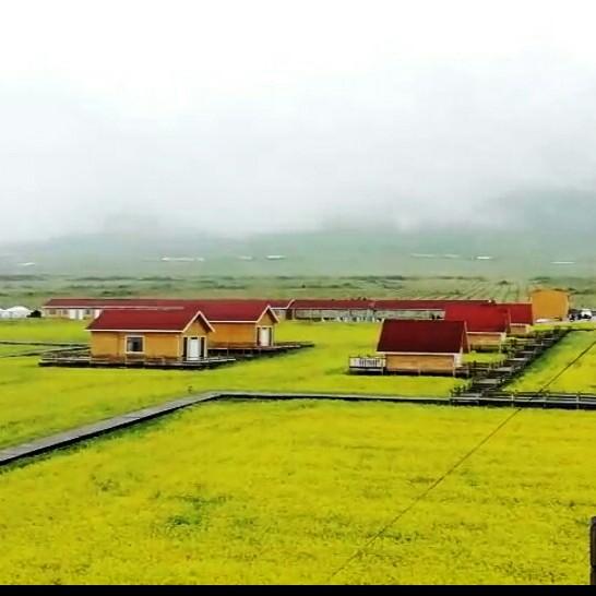 冰儿❤️好物分享