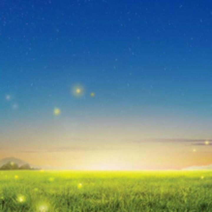 千里有缘来相会