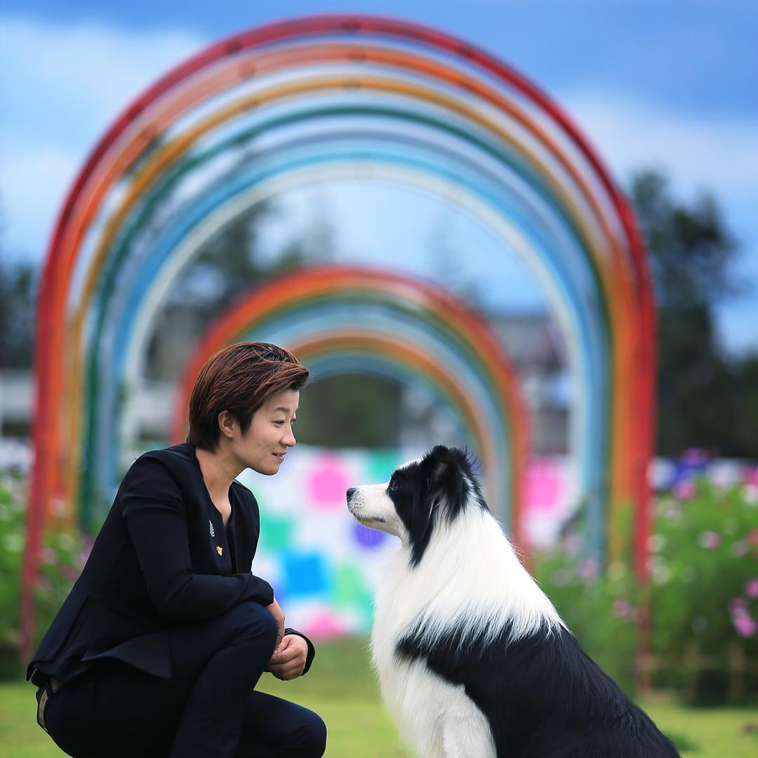 秀色帝国边牧犬舍