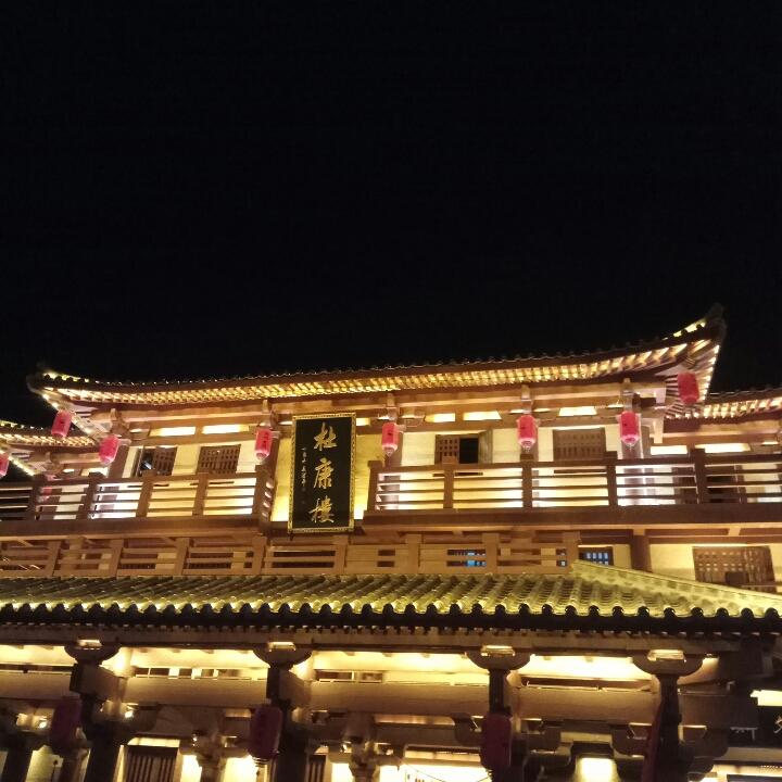 鸽子