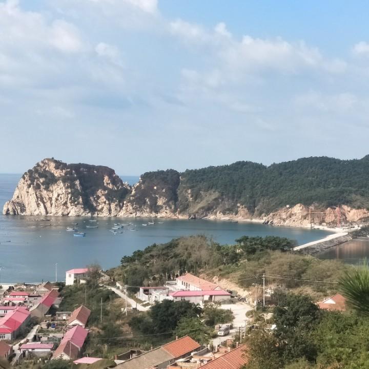 海王九岛特产