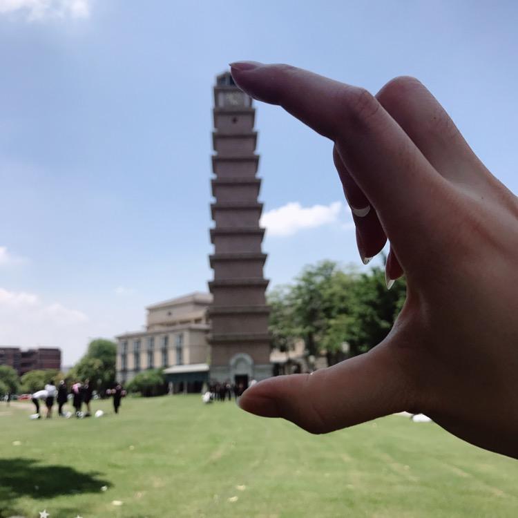 叶子3