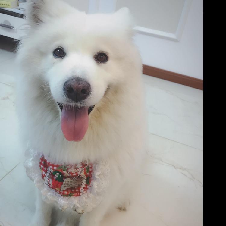 团团妈妈梅小2