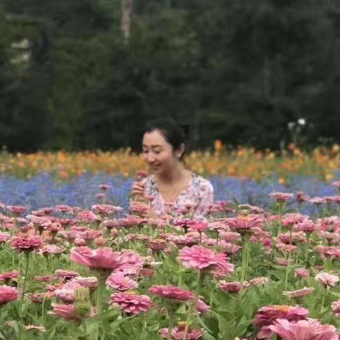 金木水火土