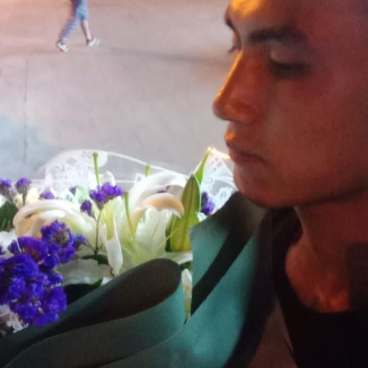 樱花树下的37℃