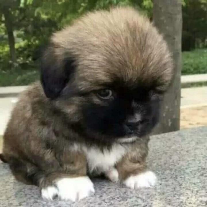 小程故事