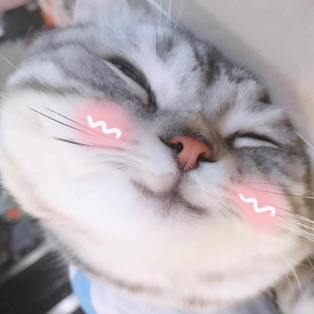 嚣萌萌