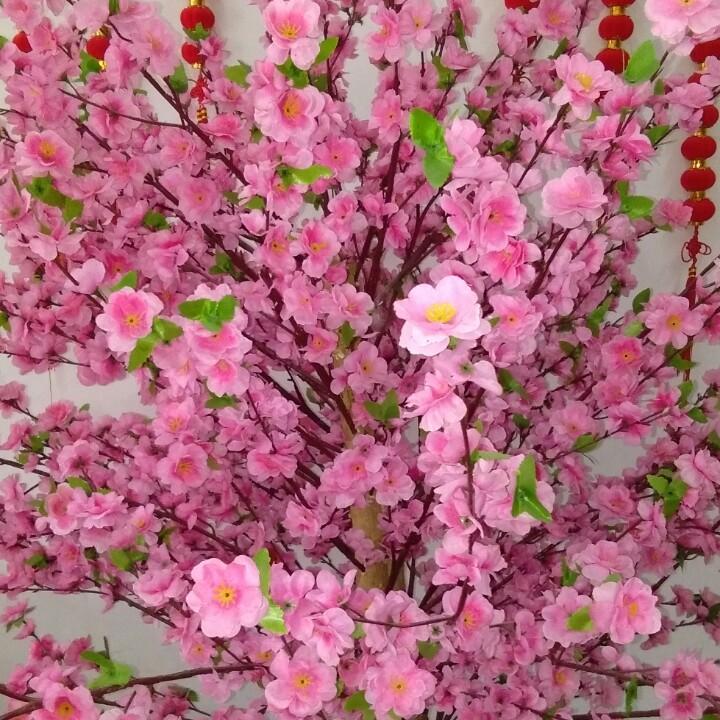心想事成